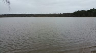 TOUR DU GRAND ETANG ET FORET DES DEFAYS-sarthe