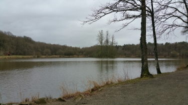 TOUR DU GRAND ETANG ET FORET DES DEFAYS-sarthe
