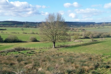 L HABIT ET LE CAMP DE CESAR-sarthe