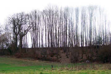 CIRCUIT DE LA CROIX MANCEAU-sarthe