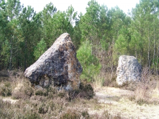 ECOMMOY - CIRCUIT DU BON DIEU JAUNE-sarthe