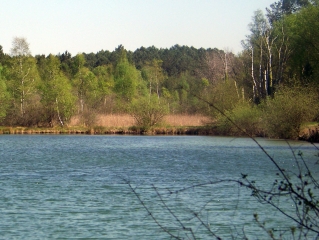 SURFONDS  -  LES CHENEAUX ET LA GARDONNIERE-sarthe