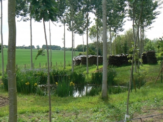 SAINT-REMY-DE-SILLE-sarthe