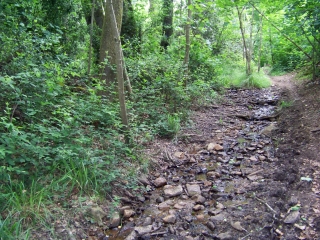 ST REMY DE SILLE - LA JUMENT BLANCHE-sarthe