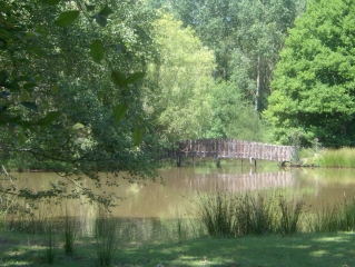 MEZERAY - CIRCUIT DES ETANGS-sarthe