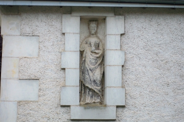 BOIS DE LA CHENUERELE - BOIS DE LA CHENUERE-sarthe