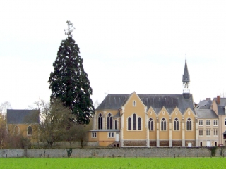 TELOCHE - ETANG DES CHERES-sarthe