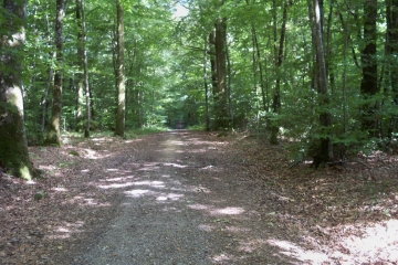 TOUR DE LA PETITE CHARNIE-sarthe