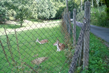 CHAHAIGNE ENTRE VIGNES, FORET ET CAMPAGNE-sarthe