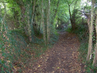 SAINT-GEOGES-DU-ROSAY - CIRCUIT DES MAISONS NEUVES-sarthe