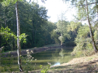 VOLNAY - BOIS DE LA PERCHE ET DES CHENEAUX-sarthe