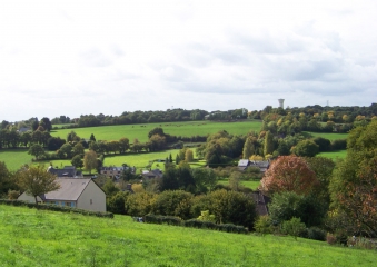 BEAUMONT-PIED-DE-BOEUF - CIRCUIT DU COTTAGE-sarthe