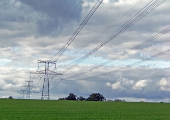 BEAUMONT-PIED-DE-BOEUF - CIRCUIT DU COTTAGE-sarthe
