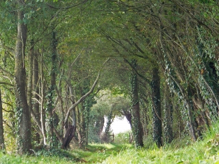 MAISONCELLES - CIRCUIT DE L ETANGSORT-sarthe