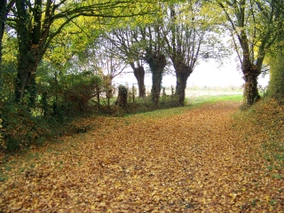 MEZIERES-SUR-PONTHOIN  -  CIRCUIT DU JONCHERAY-sarthe