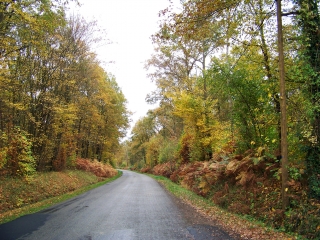MEZIERES-SUR-PONTHOIN  -  CIRCUIT DU JONCHERAY-sarthe
