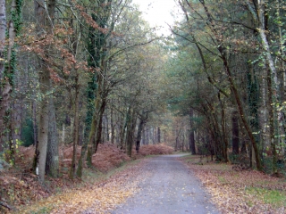 RUAUDIN - CIRCUIT DES TROIS RUISSEAUX-sarthe