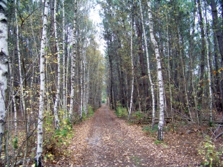 RUAUDIN - CIRCUIT DES TROIS RUISSEAUX-sarthe