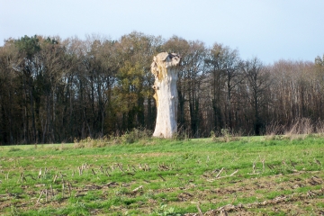 MONTREUIL-LE-HENRI - ETANGSORT-sarthe