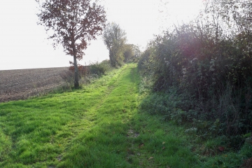 MONTREUIL-LE-HENRI - ETANGSORT-sarthe