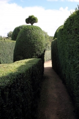 LOUE - MAREIL EN CHAMPAGNE-sarthe