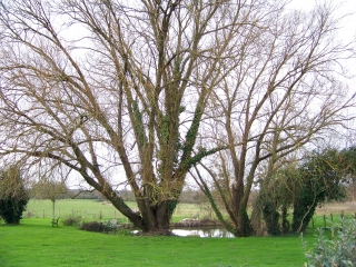 SILLE LE PHILIPPE - CHANTELOUP  -  CIRCUIT DE LA BOULASSERIE-sarthe