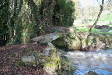 FLEE - SAINTE CECILE-sarthe