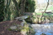 FLEE - SAINTE CECILE-sarthe