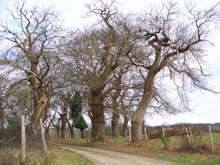 ECOMMOY - CIRCUIT DU CHATEAU D EAU-sarthe