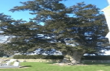 TERREHAULT - JAUZE-sarthe