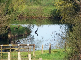 SAINT SATURNIN - SAINTE JAMME  -  CIRCUIT DES CROIX-sarthe