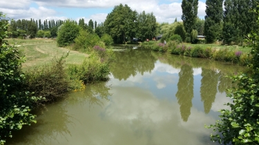 LES BUTTES DE TENNIE-sarthe