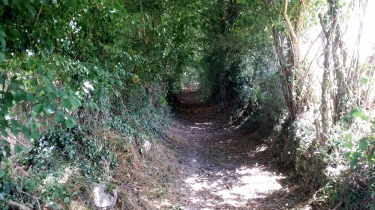LES BUTTES DE TENNIE-sarthe