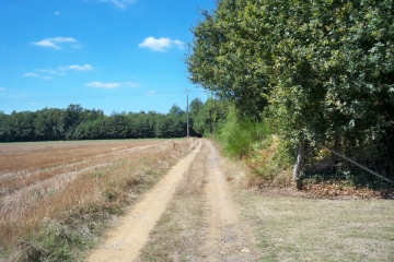 LA CHAPELLE SAINT REMY - MONTRENTIN-sarthe