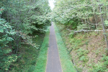 DU ZOO AU GUE CARTRAIN-sarthe