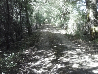 THORE-LES CARTES-sarthe