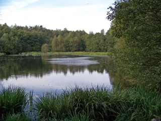 LAILLE - CIRCUIT DE LA TASSE-sarthe
