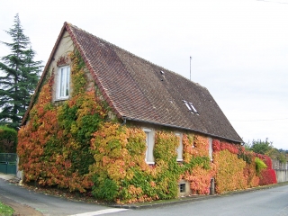 BRIOSNES - CIRCUIT DU TERTRE-sarthe