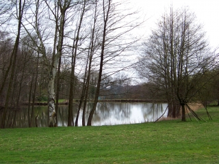 SAINT-CELERIN-sarthe