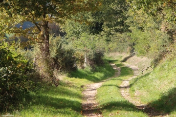 LA CHAPELLE-AUX-CHOUX - ST-GRMAIN-D ARCE-sarthe
