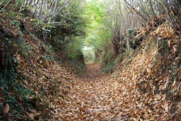 MARIGNE - BOUCLE NORD-sarthe