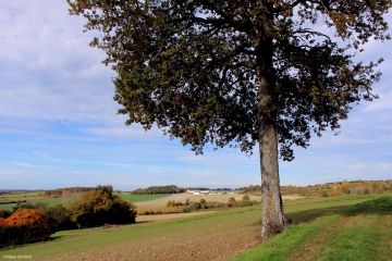 VAAS - SAINT-GERMAIN-D ARCE-sarthe