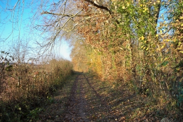 PRUILLE-L EGUILLE OUEST-sarthe