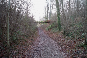 SILLE-LE-PHILIPPE - MONTPLAISIR-sarthe