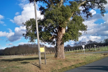 SAINT-JEAN-DE-LA-MOTTE-sarthe