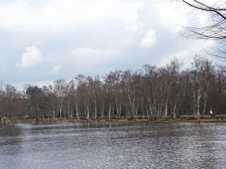 MULSANNE - PARIGNE   LA SAPINIERE DU GRAND ETANG -sarthe