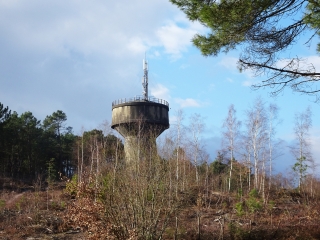 MULSANNE - PARIGNE   LA SAPINIERE DU GRAND ETANG -sarthe