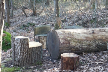 GUECELARD - BOIS DE SAINT HUBERT-sarthe