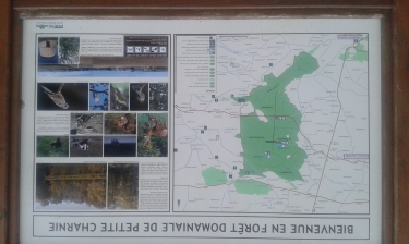 NORD DE LA PETITE CHARNIE (2)-sarthe