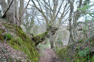 BEAMONT-LA VALLE DU MUGUET-sarthe